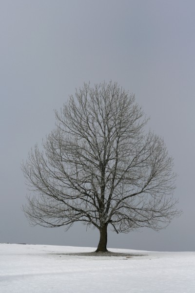 103.jpg
