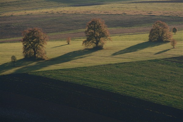 76.jpg
