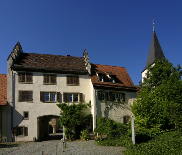 96.jpg